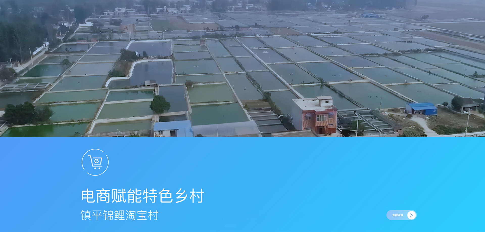 镇平侯集锦鲤产业